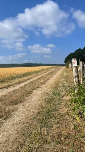 Naturpark Südeifel Wanderweg Nr. 51 Kruchten-Nusbaum