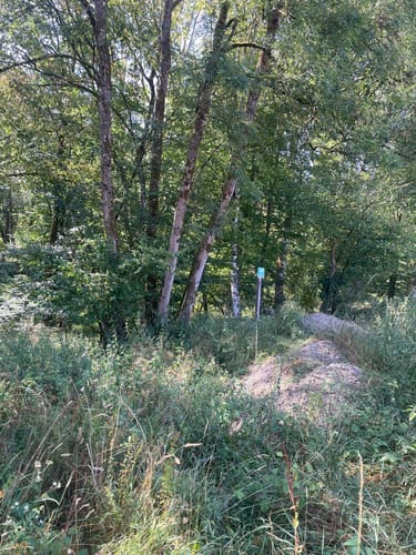Naturpark Südeifel Wanderweg Nr. 51 Kruchten-Nusbaum