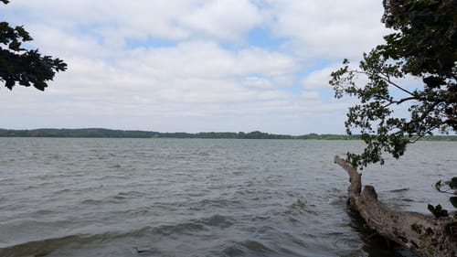 Um dem Behler See von Plön