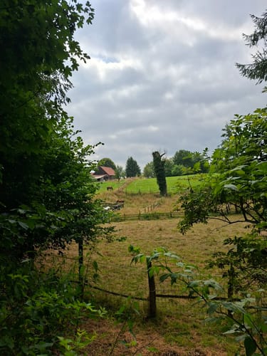 Durch den Aplerbecker und Schwerter Wald