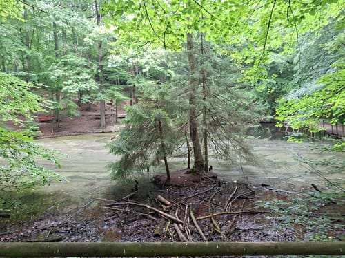 Durch den Aplerbecker und Schwerter Wald