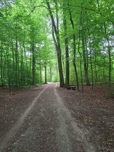 Durch den Aplerbecker und Schwerter Wald