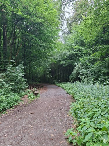 Durch den Aplerbecker und Schwerter Wald