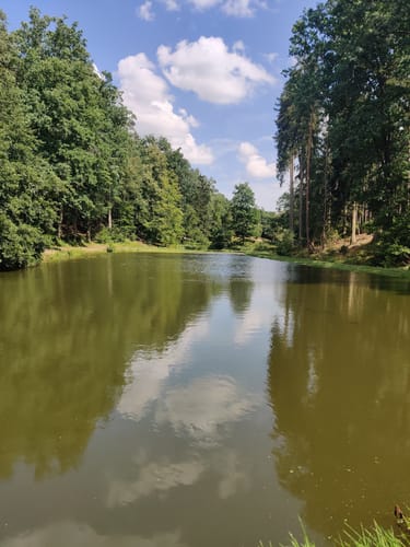 Karpfenweiher und Kirchen im Aischgrund