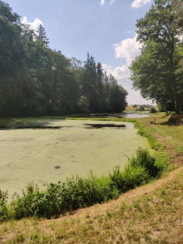 Karpfenweiher und Kirchen im Aischgrund
