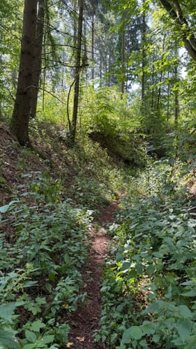 Europäischer Wasserscheideweg Marktbergel Schleife