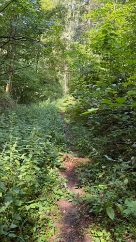 Europäischer Wasserscheideweg Marktbergel Schleife