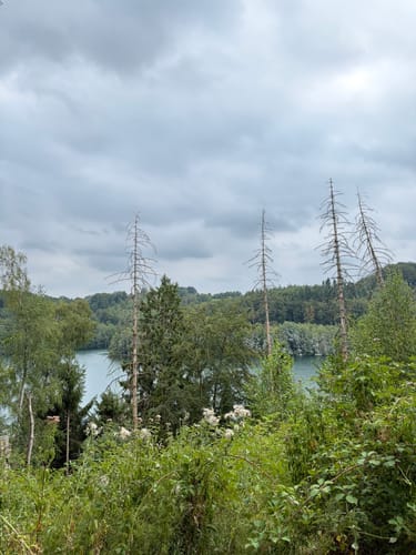 Rundwanderweg: unverDHÜNNt 2