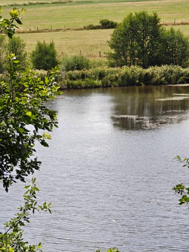 Georundweg Steffeln