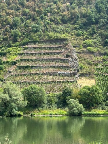 Saar-Mosel-Main Etappe 6: Treis-Karden - Koblenz