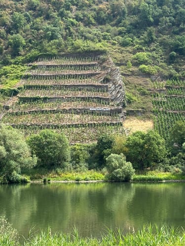 Saar-Mosel-Main Etappe 6: Treis-Karden - Koblenz