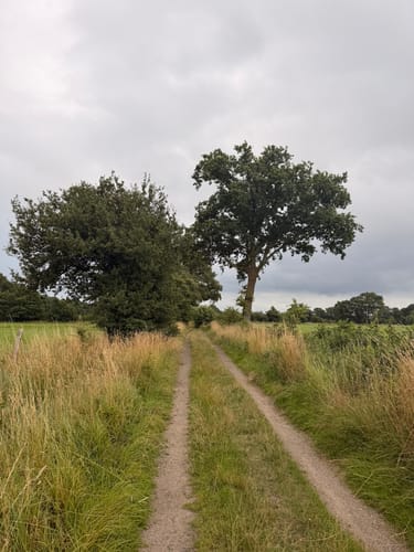 Klövensteen Runde mit Pony Waldschenke