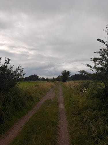 Klövensteen Runde mit Pony Waldschenke