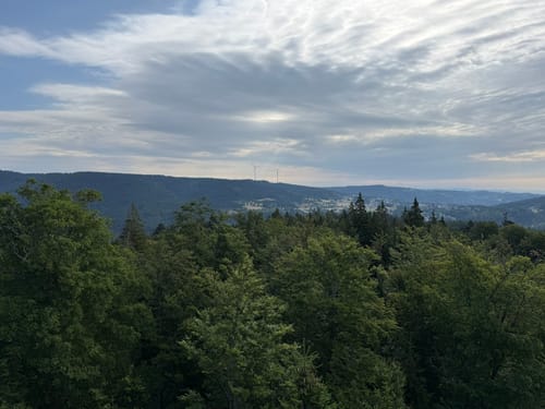 Schluchtensteig Etappe 5: St. Blasien - Todtmoos