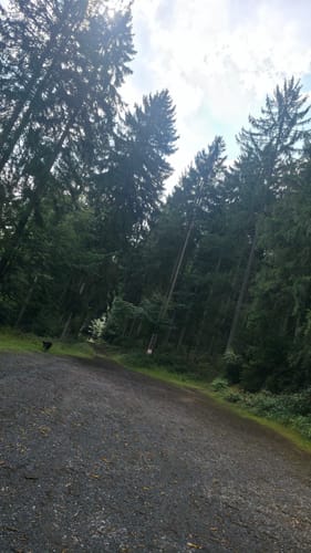Waldfriede - Hoher Berg - Schwarzer Berg - Rosskopf