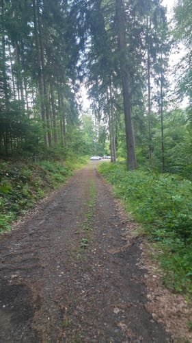 Waldfriede - Hoher Berg - Schwarzer Berg - Rosskopf