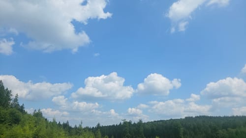 Waldfriede - Hoher Berg - Schwarzer Berg - Rosskopf
