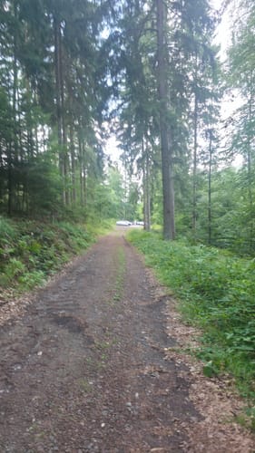 Waldfriede - Hoher Berg - Schwarzer Berg - Rosskopf