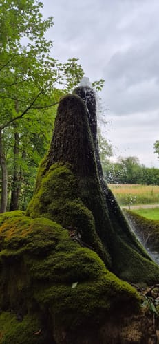 SA2 Wasserbaum-Weg