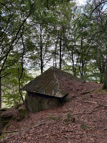 Naturpark Südeifel Wanderweg Nr. 61 - Ferschweiler-Ernzen