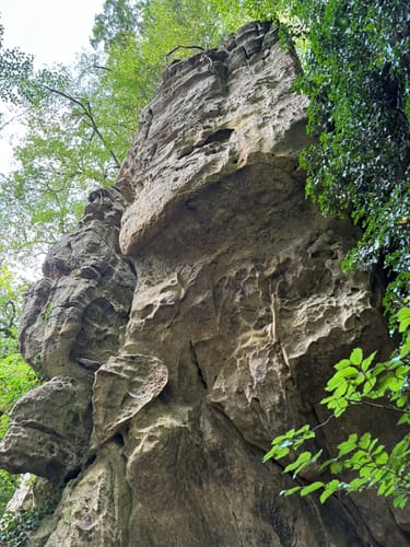 Naturpark Südeifel Wanderweg Nr. 61 - Ferschweiler-Ernzen