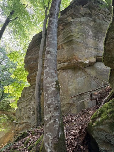 Naturpark Südeifel Wanderweg Nr. 61 - Ferschweiler-Ernzen