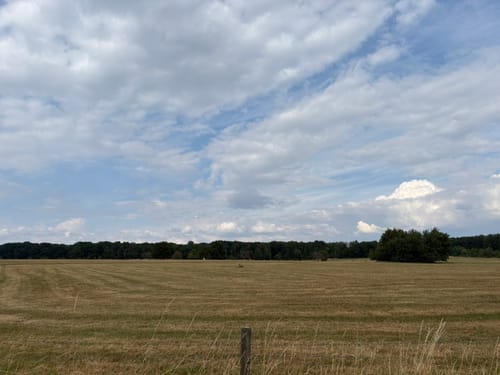 Naturpark Südeifel Wanderweg Nr. 61 - Ferschweiler-Ernzen