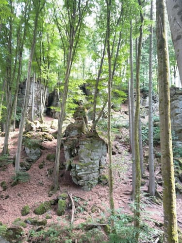 Naturpark Südeifel Wanderweg Nr. 61 - Ferschweiler-Ernzen