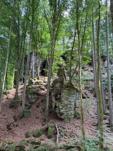 Naturpark Südeifel Wanderweg Nr. 61 - Ferschweiler-Ernzen