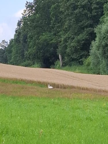 Durchs Habichtstal (Po 2)