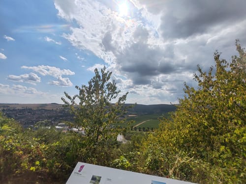 Wald, Wein & Horizonte (Premiumwanderweg)