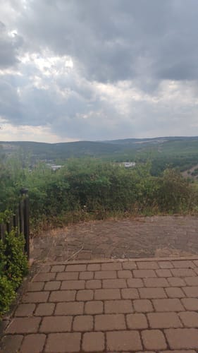 Wald, Wein & Horizonte (Premiumwanderweg)