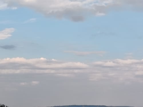 Wald, Wein & Horizonte (Premiumwanderweg)