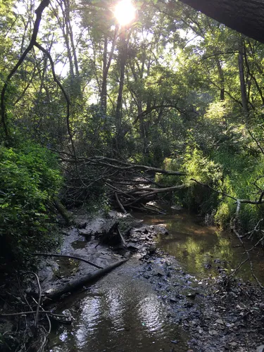 Jubilee College State Park Trails