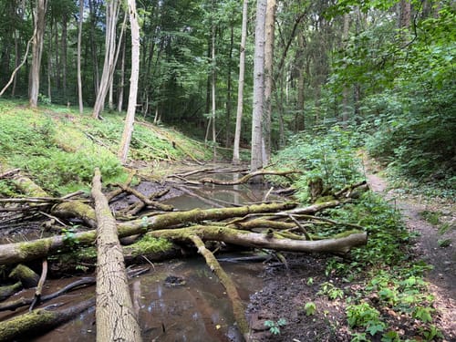Entlang der Stöbber - Tornowsee - Schermützelsee