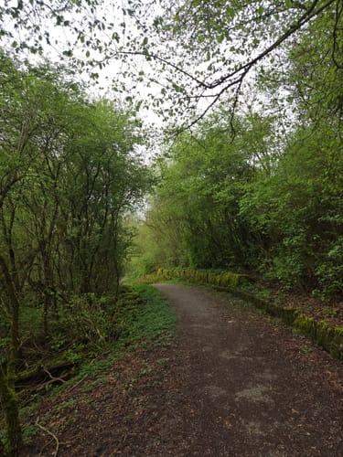 Schönebecker Schlucht - Winkhauser Tal Rundwanderung