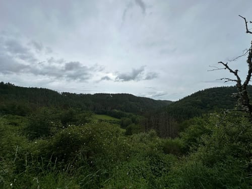 Landscheid 6