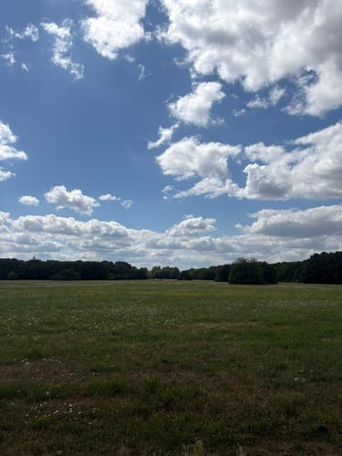 Im Volkspark Niddatal