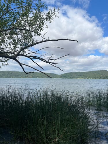 Rundweg um den Laacher See
