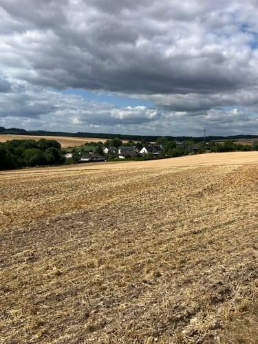Eifelhöhen und Brohlbachtal