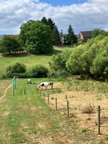 Eifelhöhen und Brohlbachtal