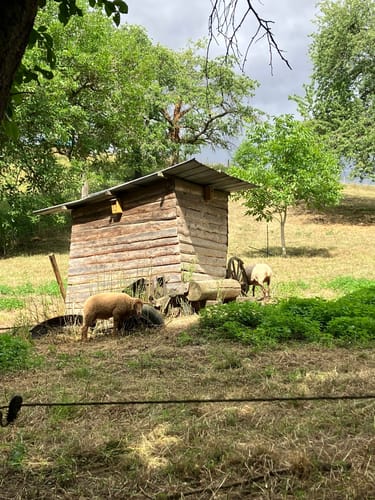 Eifelhöhen und Brohlbachtal