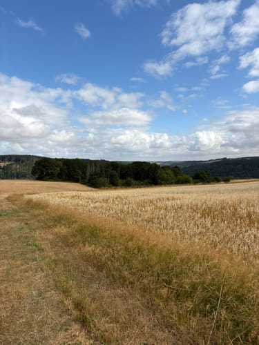 EifelSpur: Auf den Spuren der Raubritter