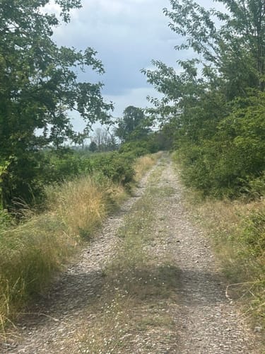 Kamp - Rosenhäger Beck
