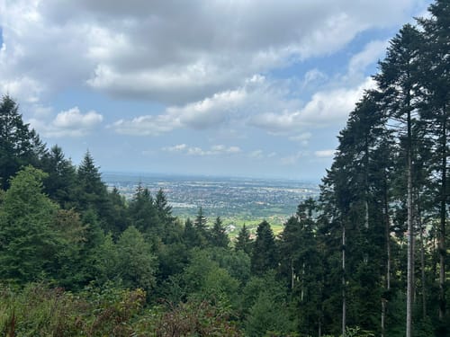 Fessenbach Ortenau - Hohes Horn Offenburg
