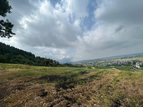 Fessenbach Ortenau - Hohes Horn Offenburg