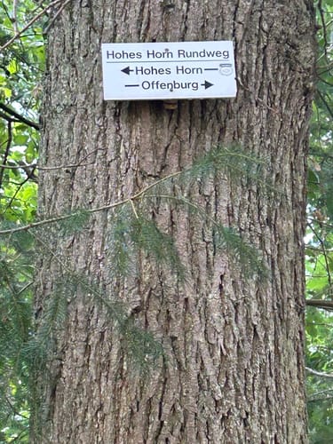 Fessenbach Ortenau - Hohes Horn Offenburg