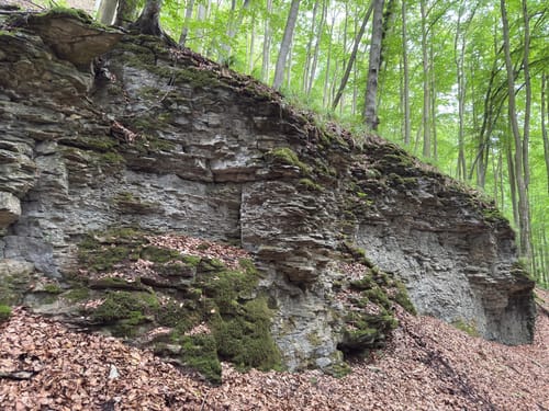 Teufelskanzel - Totental