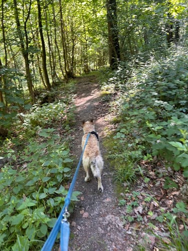 Spur der Steine (Premiumspazierwanderweg)