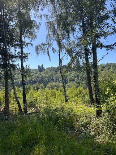 Spur der Steine (Premiumspazierwanderweg)